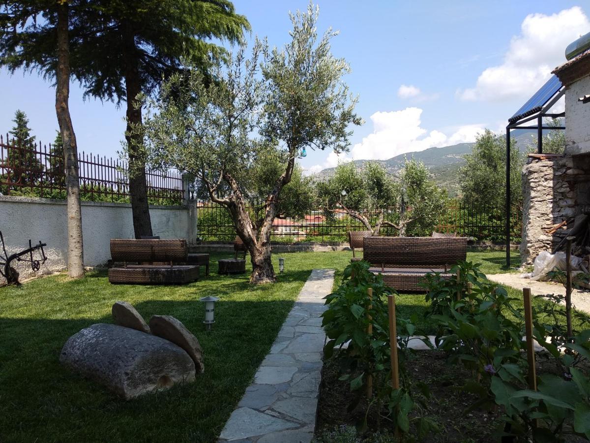Villa Agnanti Apts And Suites Agio Pnevma Exterior photo